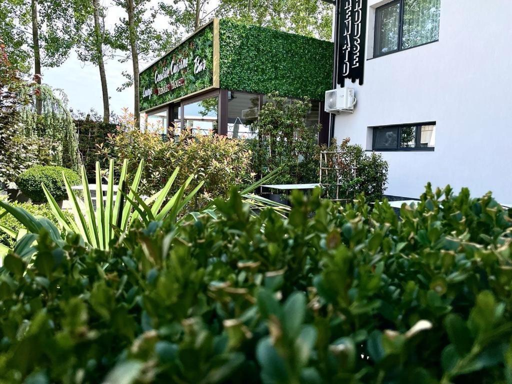 Renato House Hotel Târgu Jiu Екстериор снимка