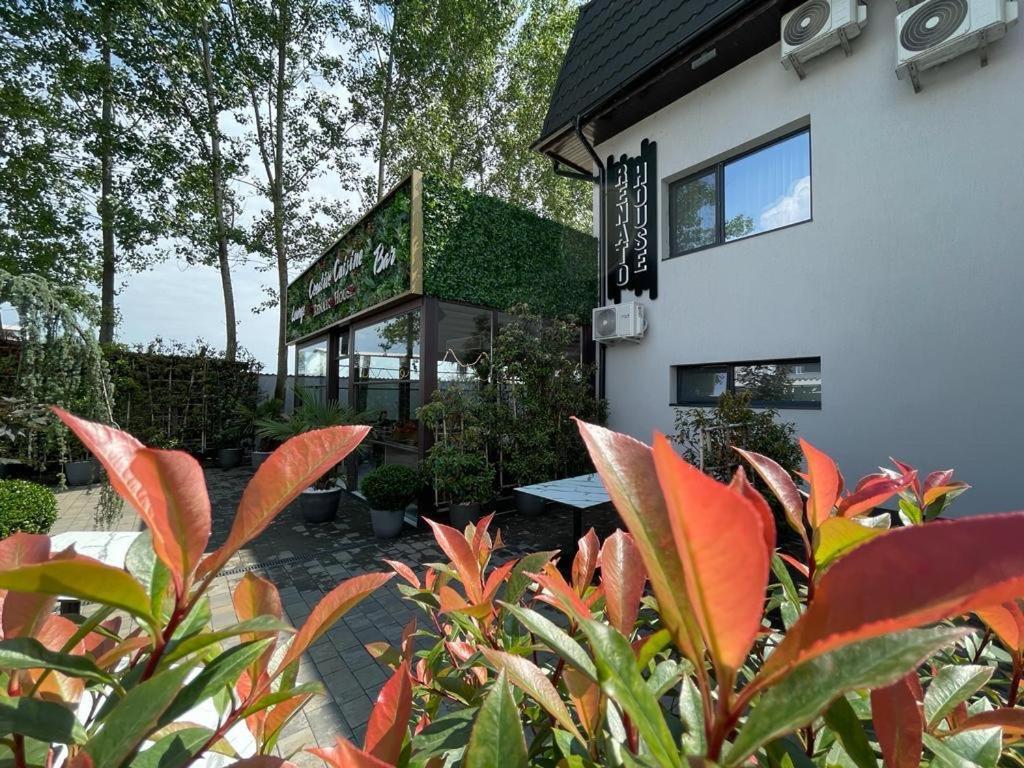 Renato House Hotel Târgu Jiu Екстериор снимка